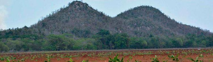 Mogotes de Jumagua, en Sagua la Grande.