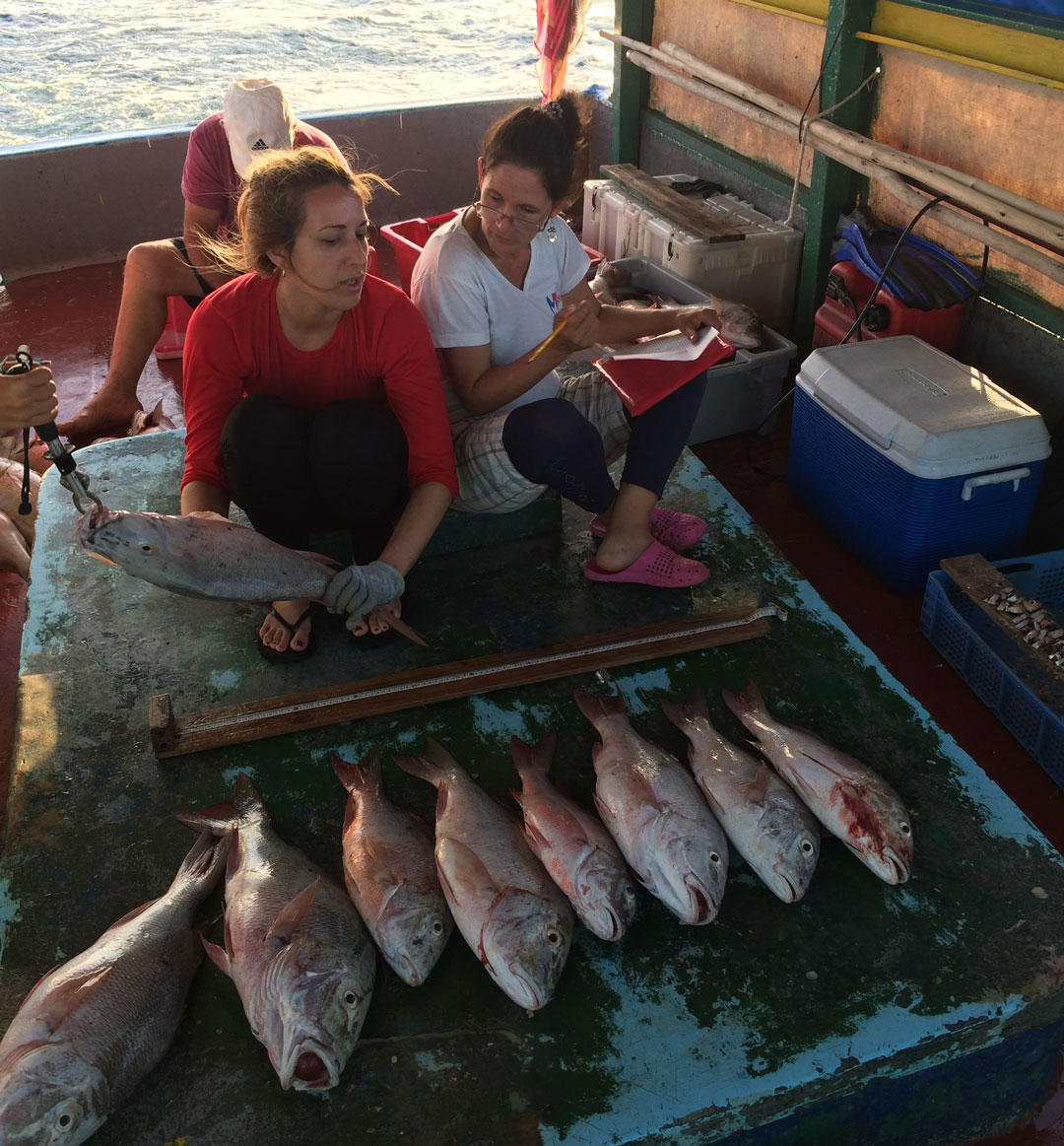 Comanejo del CESAMVC y Epicai.