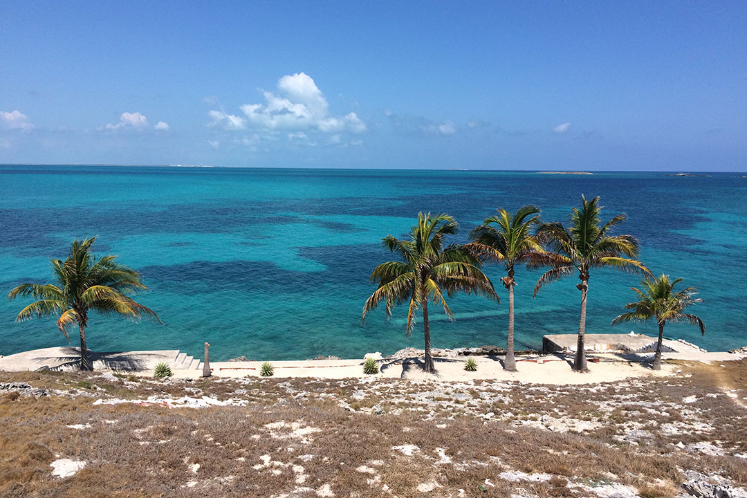 Paisaje del Parque Nacional Los Caimanes.