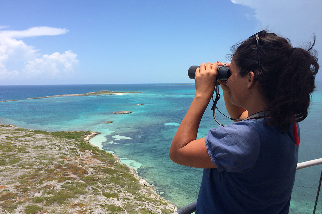 Observación en el Parque Nacional Los Caimanes.