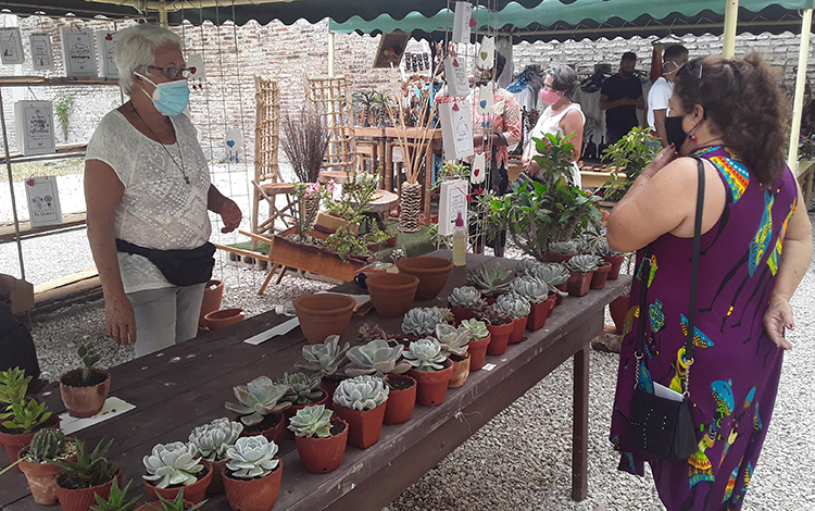 Venta de plantas ornamentales.