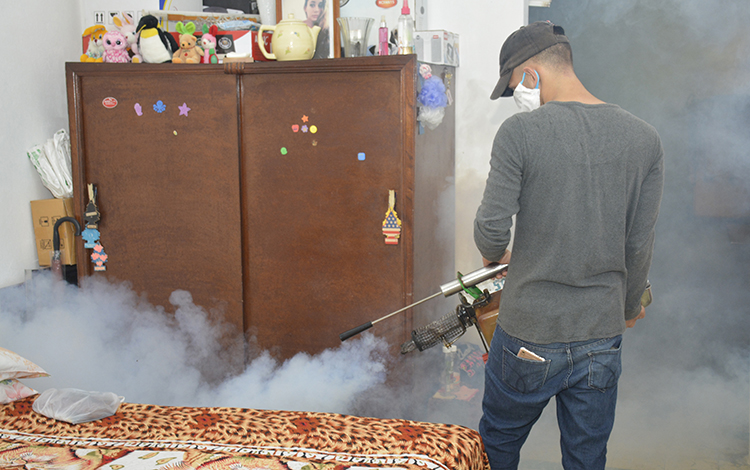 Fumigación contra el mosquito Aedes aegypti.