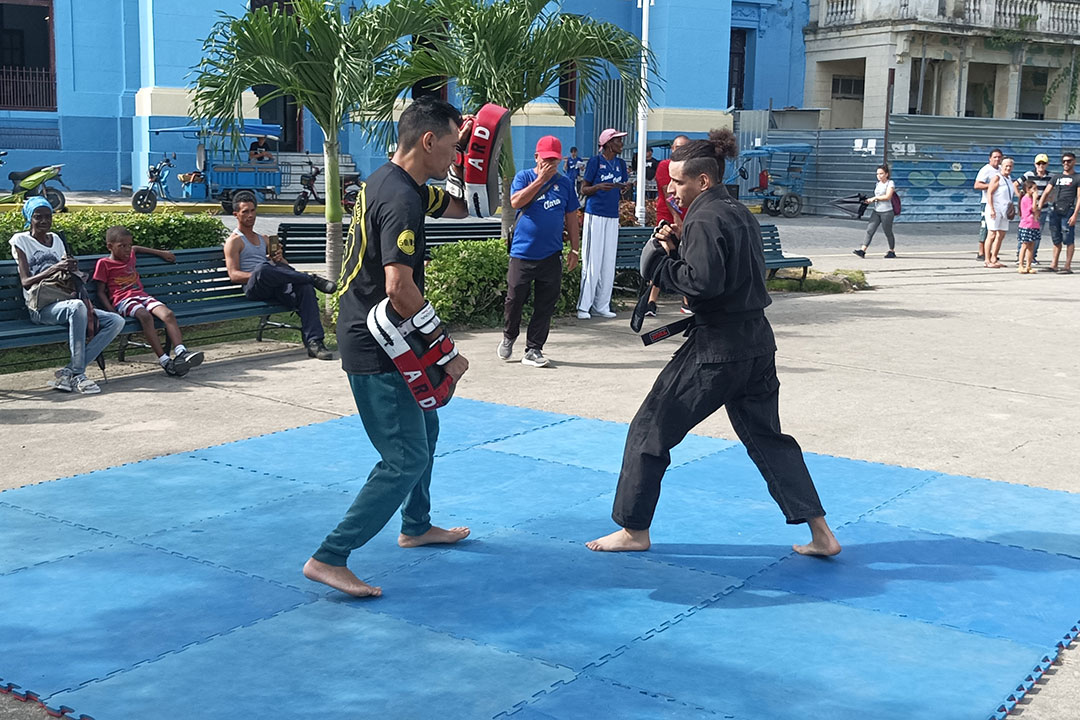 Demostración de Jiu-Jitsu.