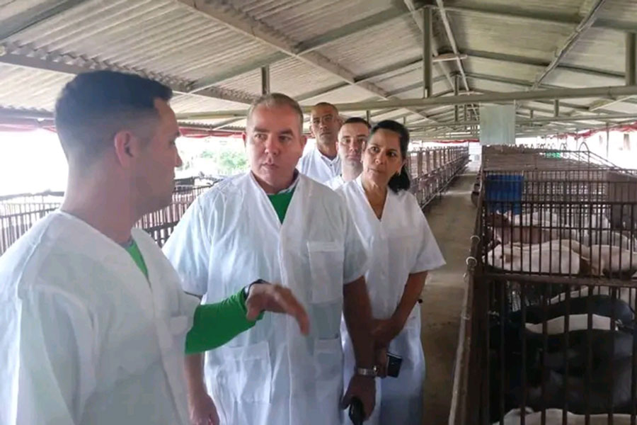 El ministro de Finanzas y Precios visitó la finca de Yusdany Rojas.