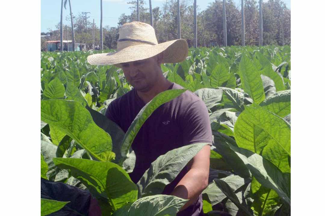 Vanguardia - Villa Clara - Cuba