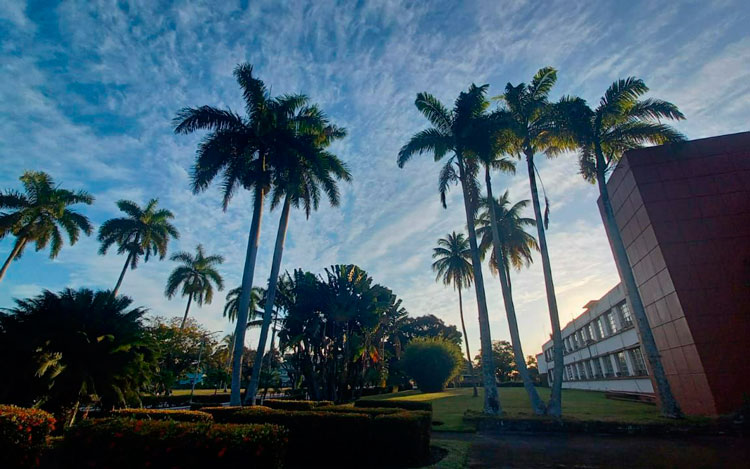 El próximo 18 de abril comenzará un nuevo curso en la Universidad Central «Marta Abreu» de Las Villas. (Foto: Tomada del canal de Telegram El Criollito)