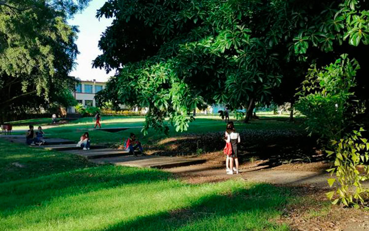 Estudiantes en áreas de la sede central de la UCLV,