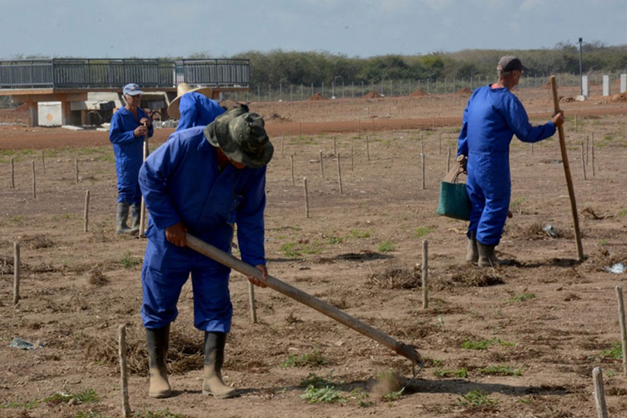 Brigadas laboran en la ejecución del PSFV de Bermejal.