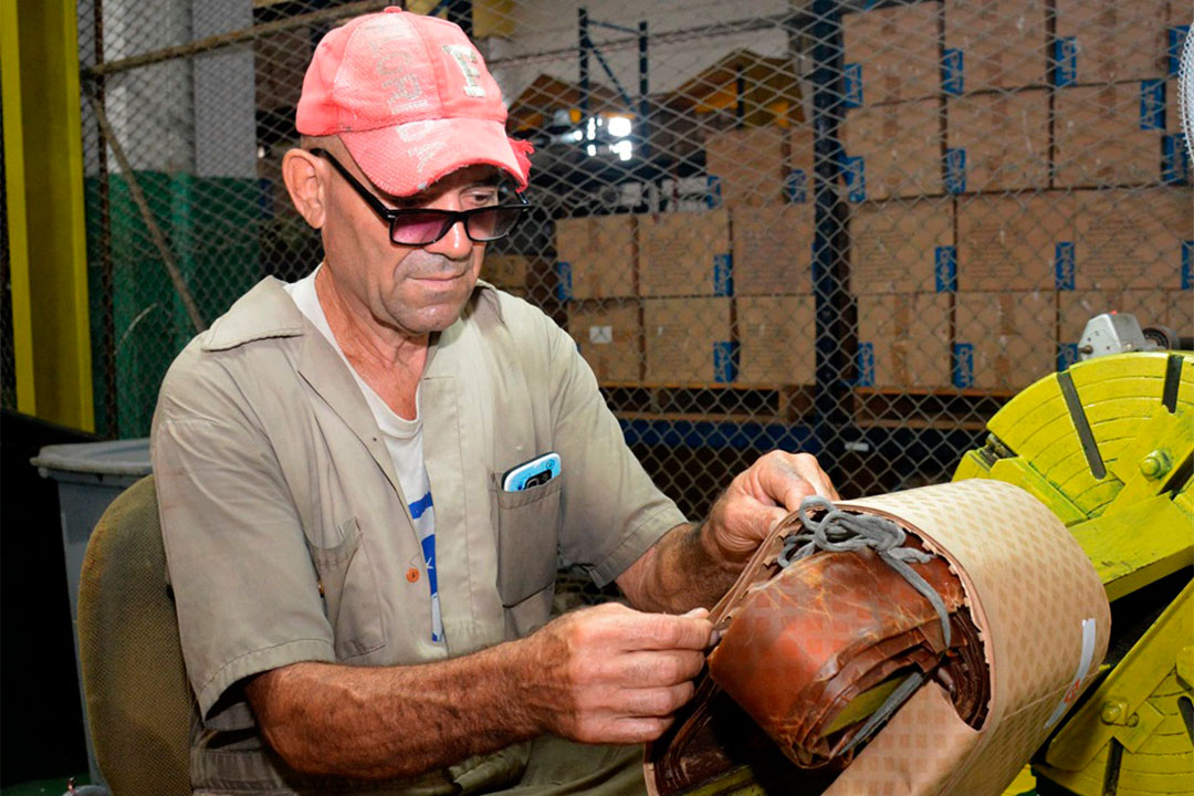 Obrero Raúl Benavides, enrollador.