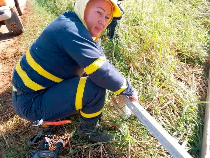 Aliuska Lores, primera liniera cubana, trabajando en las alturas de un poste eléctrico.