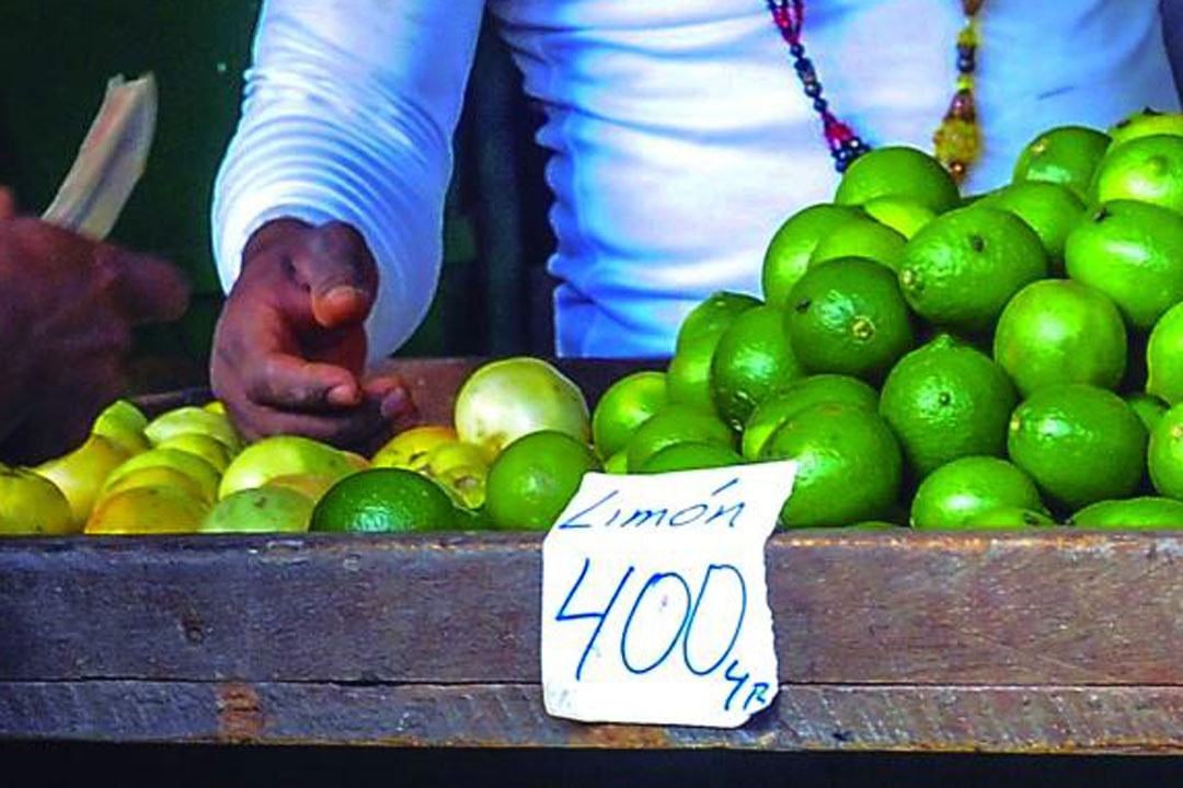 Venta de limones a altos precios