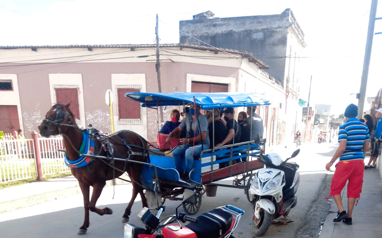 La ciudad de Santa Clara resulta una de las de mayor afluencia de coches de pasajeros en Cuba. Estos animales contribuyen potencialmente al transporte dentro de la ciudad. Sin embargo, muchas veces son sometidos a largas jornadas de trabajo y al maltrato fí­sico.