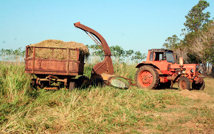 Trabajo agrí­cola mecanizado.