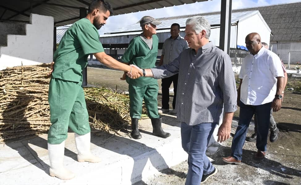 Recorrido Miguel Díaz-Canel por finca La Veguita