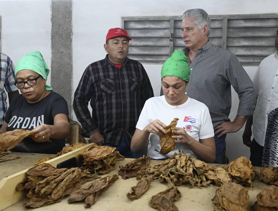 Recorrido Miguel Díaz-Canel por finca La Veguita