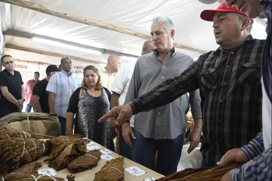 Recorrido Miguel Díaz-Canel por finca La Veguita