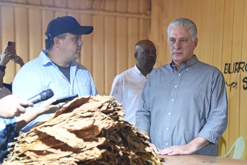 Recorrido Miguel Díaz-Canel por finca La Veguita