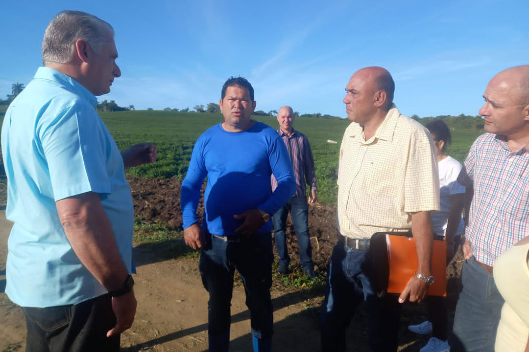 Diputado Miguel Díaz-Canel recorre la la finca de Yunier Hernández Guerra, productor asociado a la CCS 21 de Septiembre.