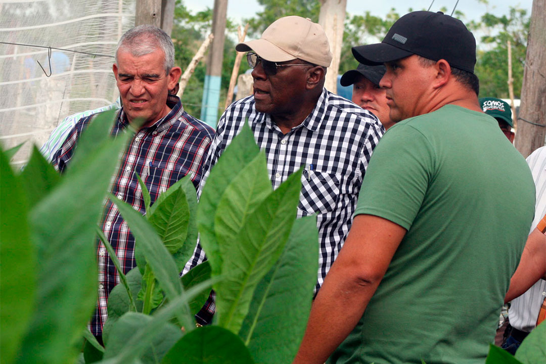 Vicepresidente cubano, Salvador Valdés Mesa, en la finca de tabaco tapado de Noel Rolando Benítez.