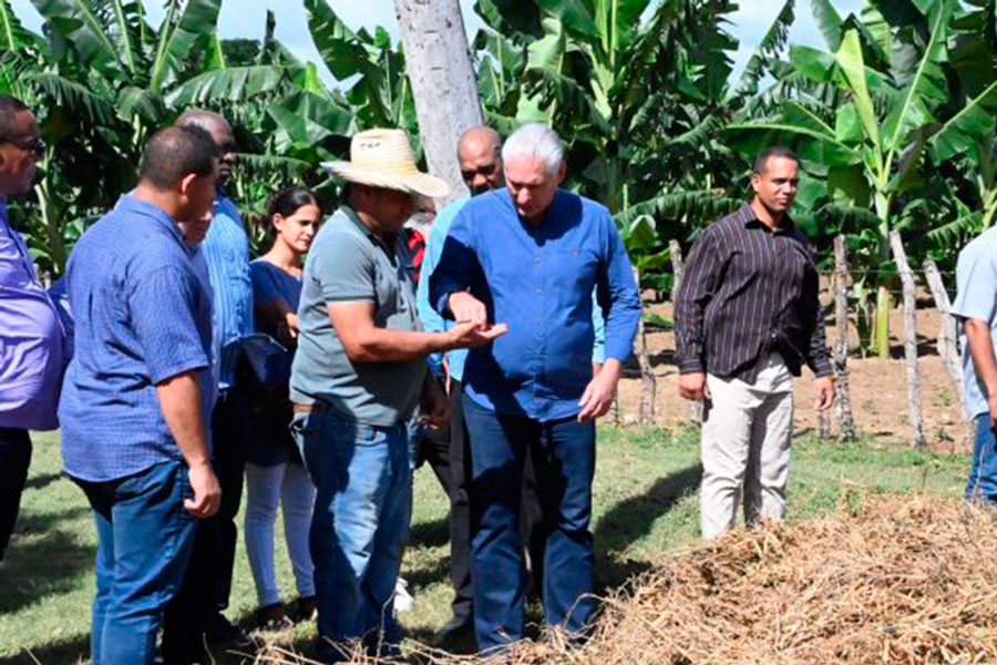 Visita a la finca del productor Pedro Monier.