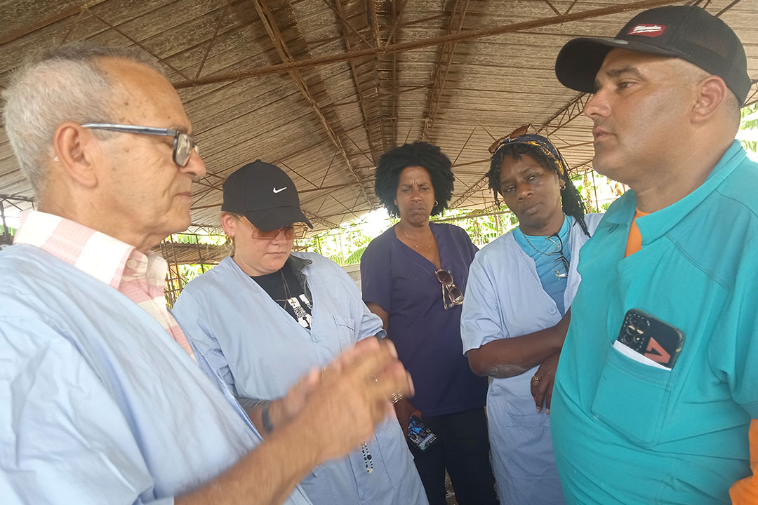 El funcionario Antonio Orta Rodríguez en visita a la UEB Multiplicadora El Negrito, dedicada a la cría de ganado porcino.