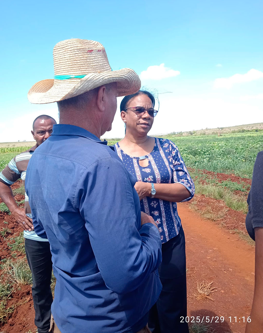 Vice primera ministra Inés María Chapman visita finca de productor usufructuario en Sagua la Grande.