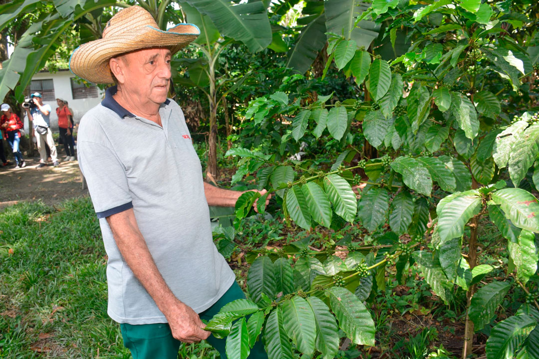 Productor de café en Manicaragua.