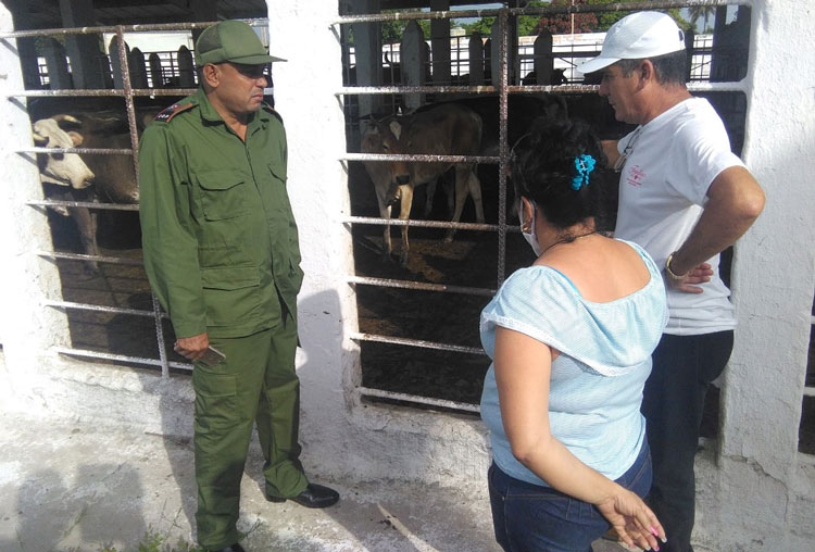 Recorrido del gobernador de Villa Clara por el matadero Chichí­ Padrón.