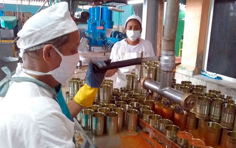 Producción de conservas en la fábrica Los Atrevidos, en Remedios.