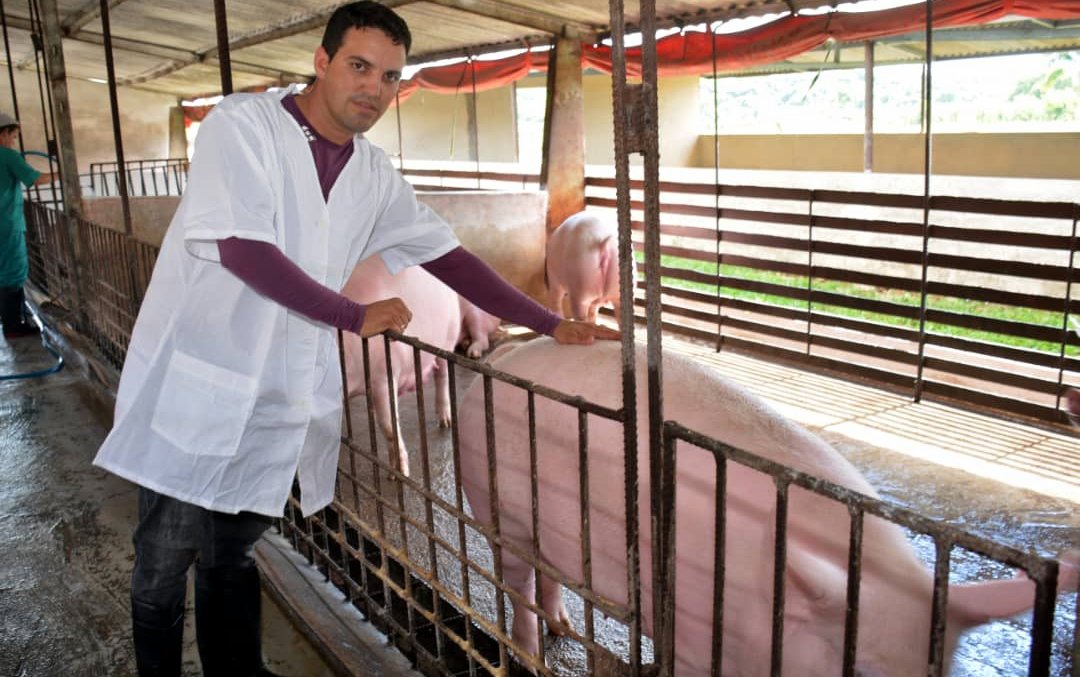 El productor porcino Yusdany Rojas Pérez aspira a levantar una minindustria para producir derivados del cerdo, cuya comercialización estará dirigida, también, a puntos de venta locales con destino a la población. 