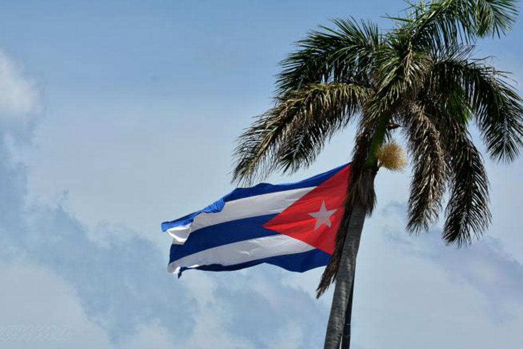 Bandera cubana en una palma