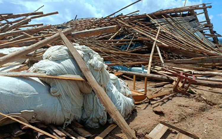 Casa de curación de tabaco destruida en Pinar del Rí­o por el paso del huracán Ian.