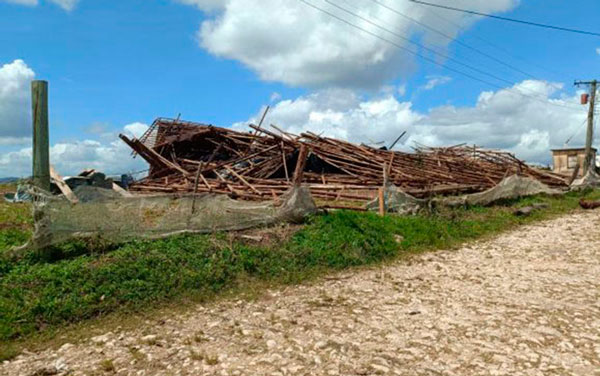 Zona del municipio de San Juan y Martí­nez, en Pinar del Rí­o, con grandes daños en la industria tabacalera.