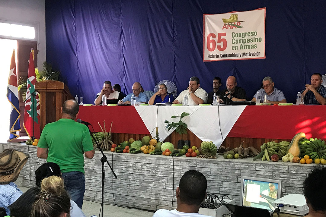Debate del balance del trabajo de la ANAP en Villa Clara.