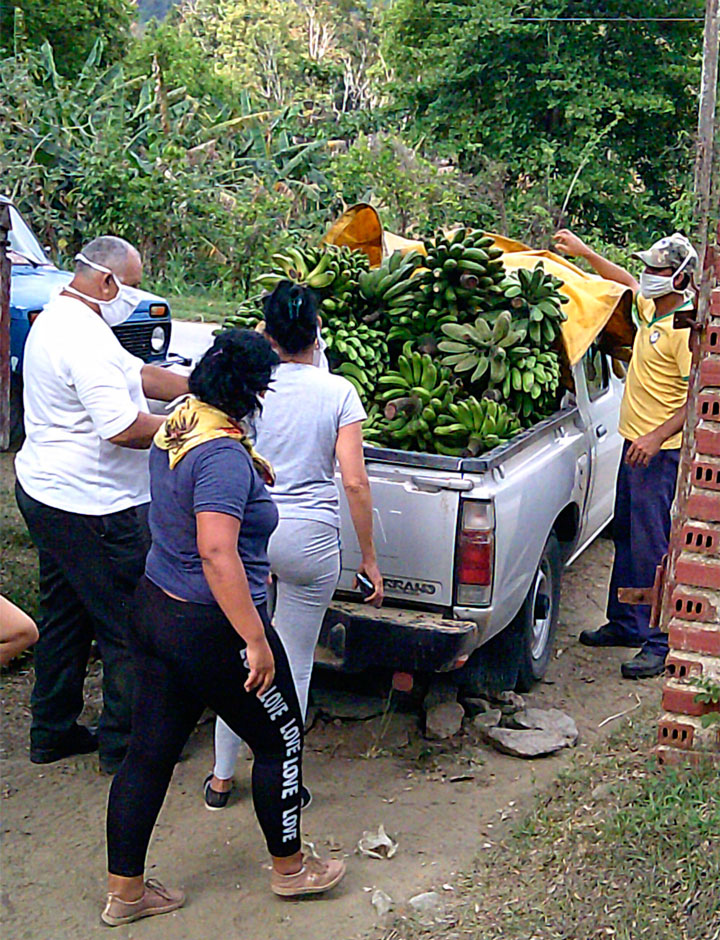 Donaciones de campesinos cubanos durante la pandemia de COVID-19.