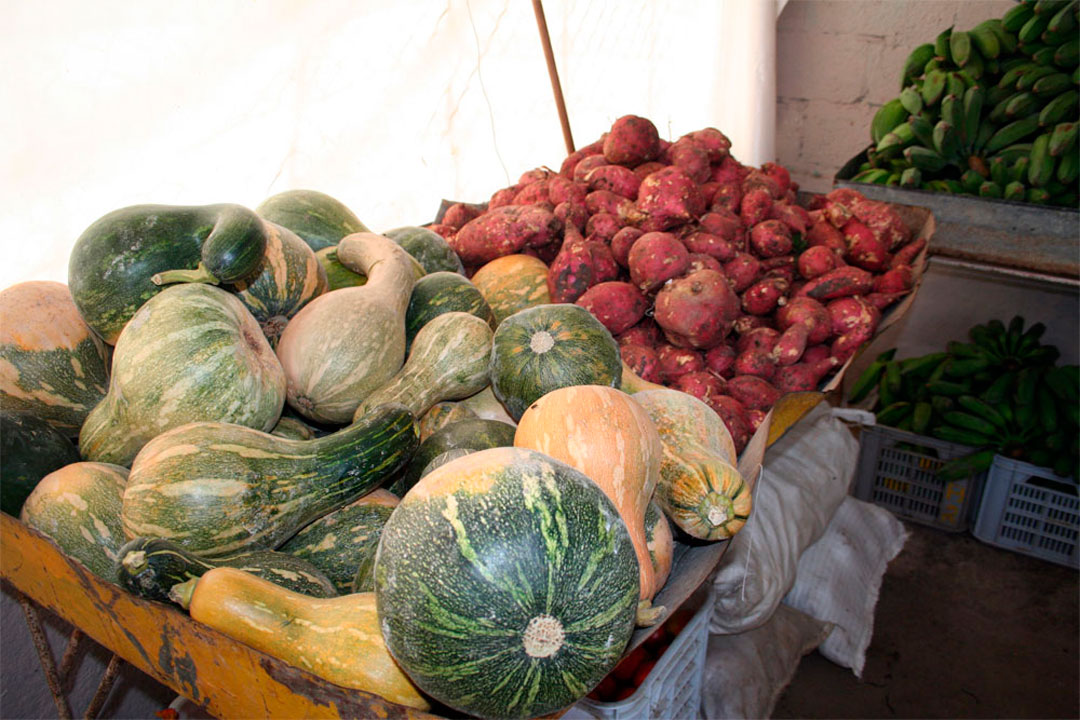 Alimentos acopiados por campesinos villaclareños para donaciones a centros de Salud.