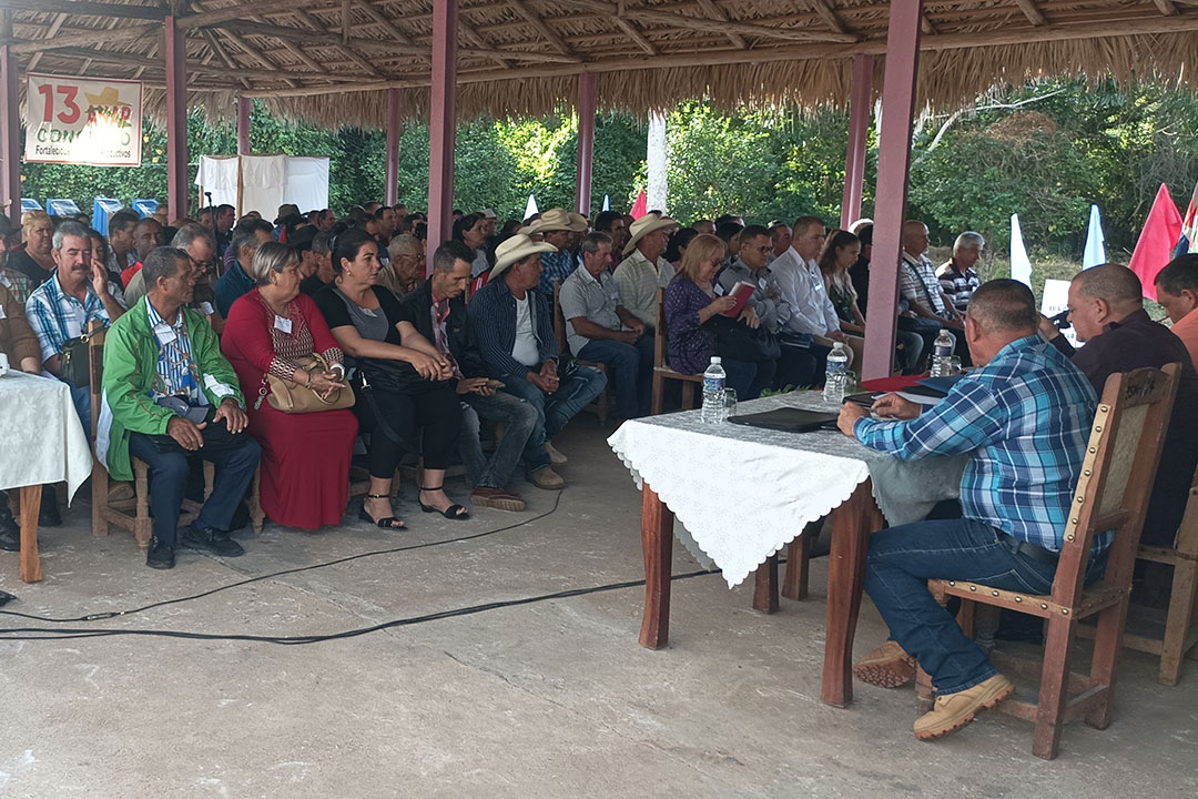 Asamblea de la ANAP en Corralillo.