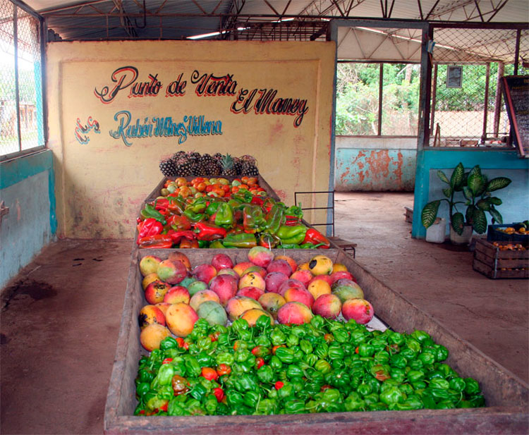 Punto de venta de productos agropecuarios en Santo Domingo, Villa Clara, Cuba.