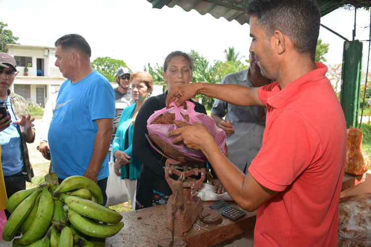 Punto de venta de productos agropecuarios Los Cocos, en Quemado de Gí¼ines.