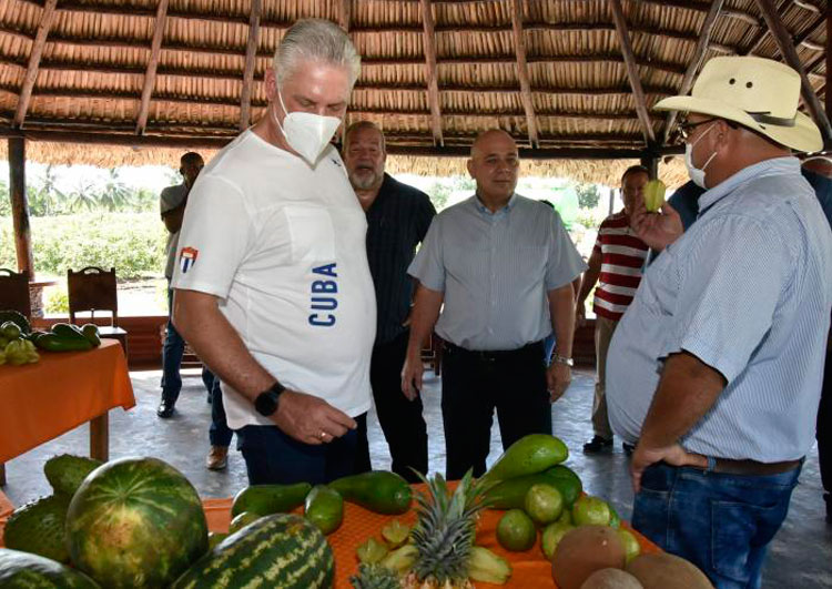 Miguel Dí­az-Canel en recorrido por finca en Cienfuegos.