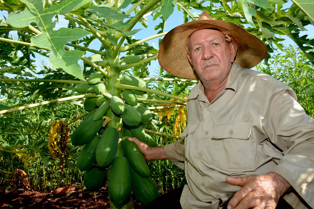 Sixto Sánchez, productor de Quemado de Güines.