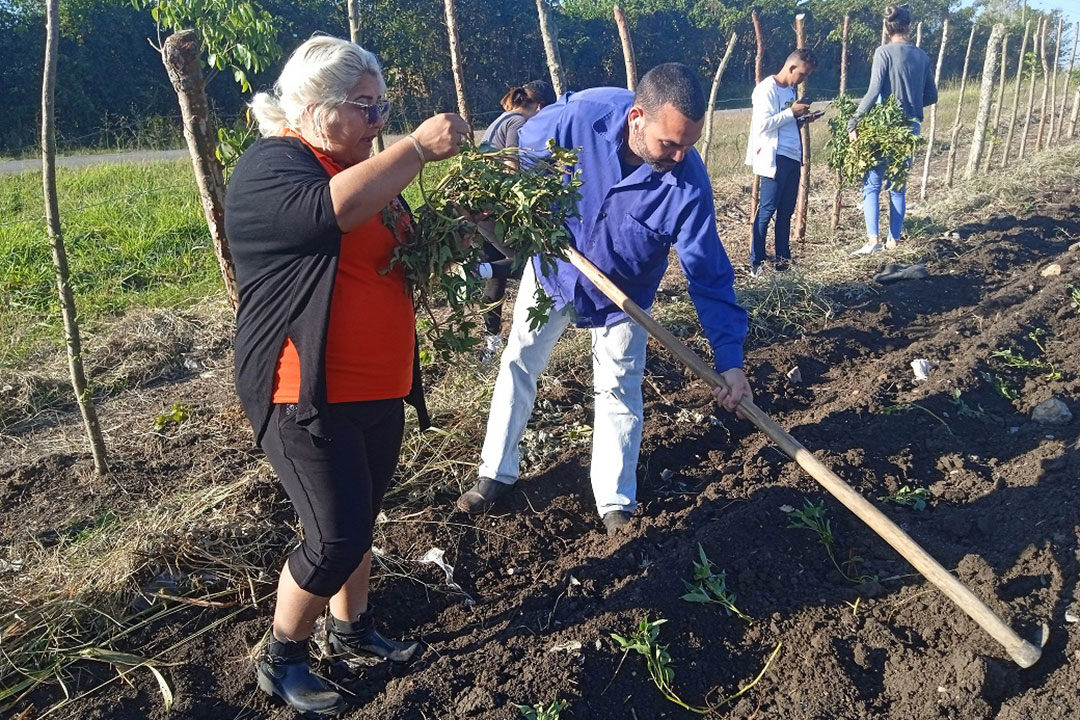 Primera secretaria del Partido en Placetas y el primer secretario de la UJC en la provincia de Villa Clara participaron en la jornada productiva.