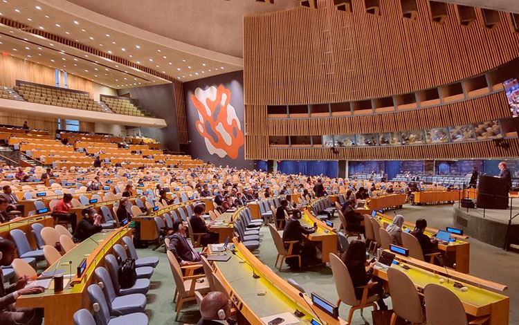 Plenario de la Asamblea General de las Naciones Unidas.