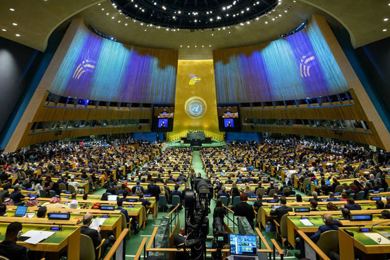 Asamblea General de Naciones Unidas.