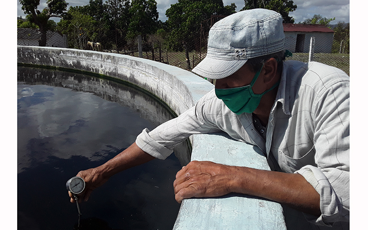 Productor de peces haciendo medición del PH del agua.