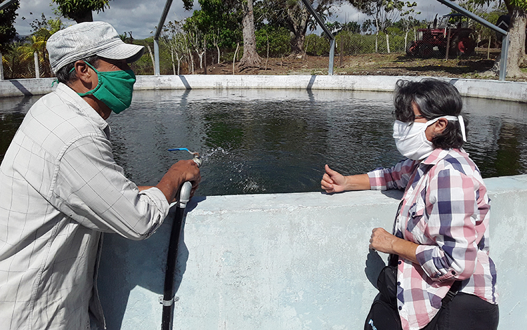 Familia dedicada a la cría de peces para la alimentación.