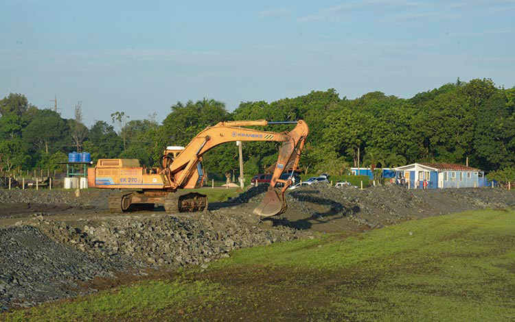Las inversiones acometidas en la Minerva garantizarán que esa instalación se convierta en la mayor productora de clarias en el paí­s.