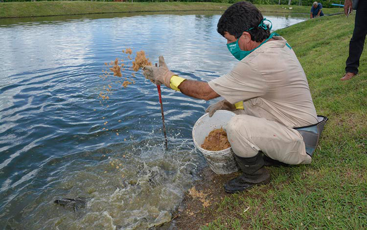 Cría intensiva de clarias en Villa Clara.