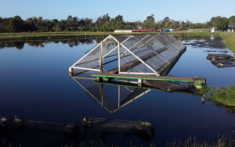 Estanque para la crí­a de peces en Villa Clara.