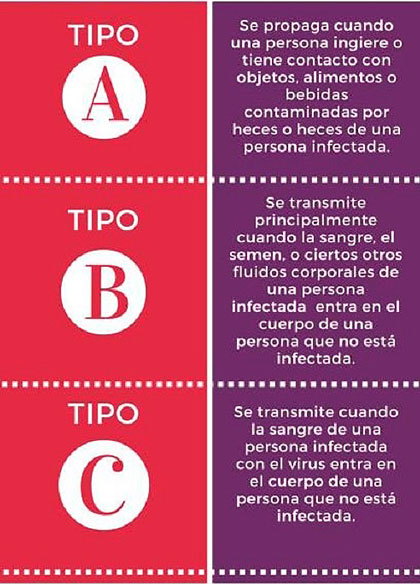 Tipos de hepatitis y caracterí­sticas.